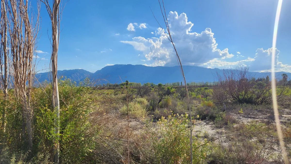 VENTA DE FINCA. 7 HAS. POCITO foto 4
