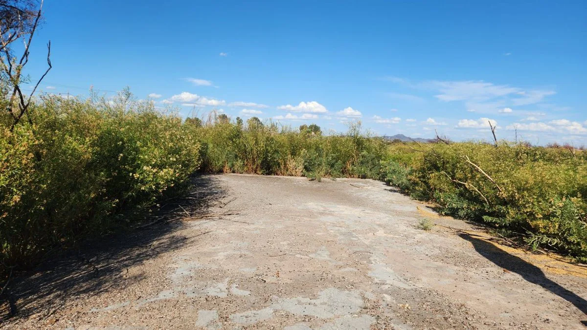 VENTA DE FINCA. 7 HAS. POCITO foto 5