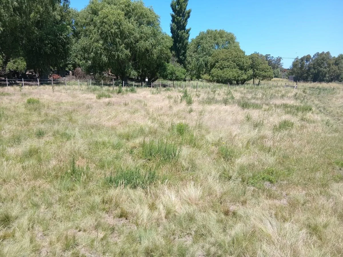 Venta Terreno Santa Isabel foto 3