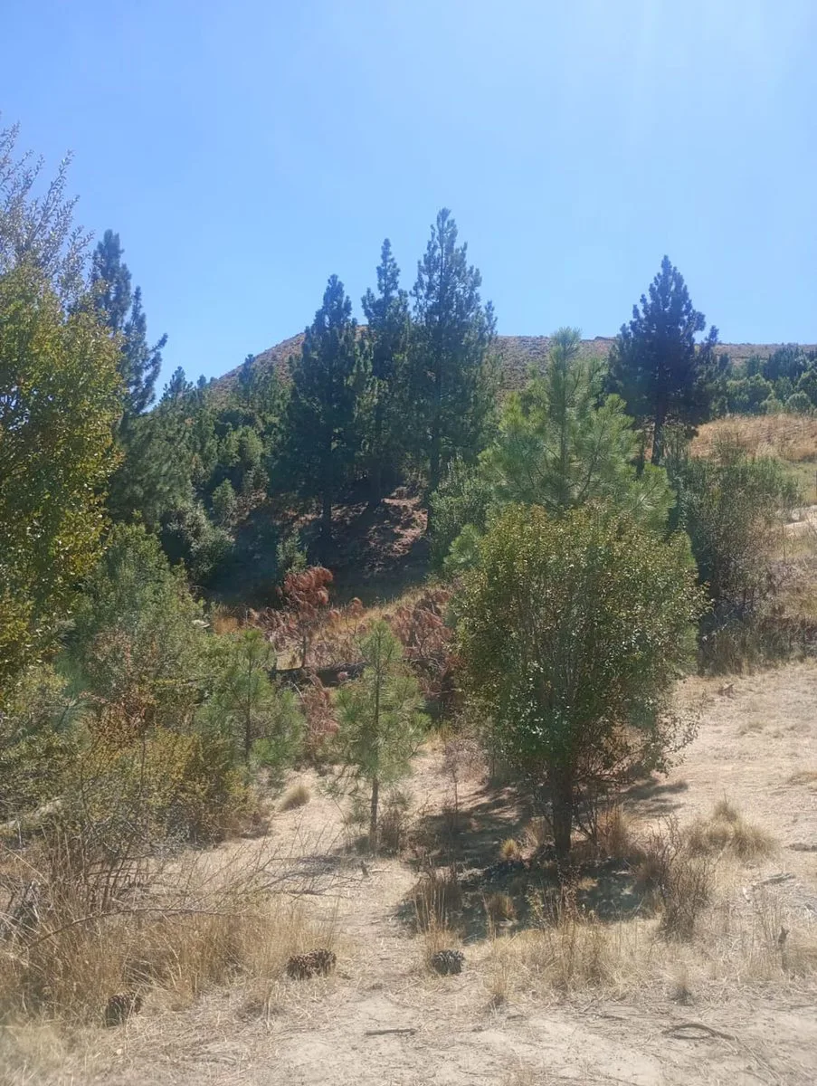 Terreno en Villa Ayelen El Maitenal foto 2
