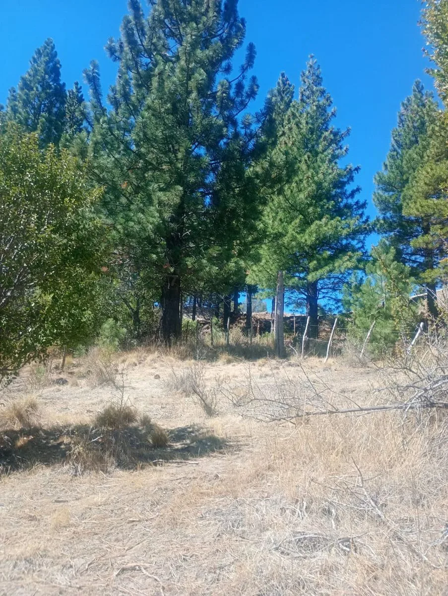 Terreno en Villa Ayelen El Maitenal foto 3