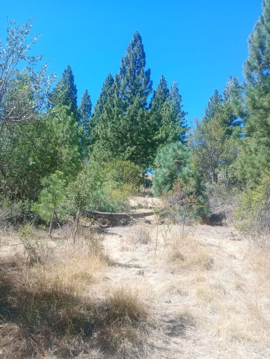 Terreno en Villa Ayelen El Maitenal foto 4