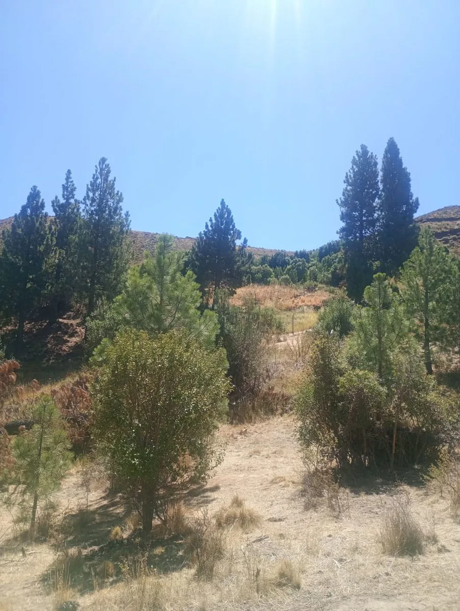 Terreno en Villa Ayelen El Maitenal foto 5