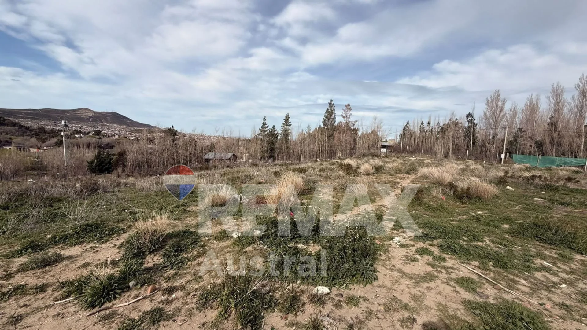 TERRENO 2500M2. BARRIO TRES PINOS foto 3