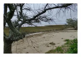 TERRENOS en Venta en Punta de Indio - Con Playa foto 5