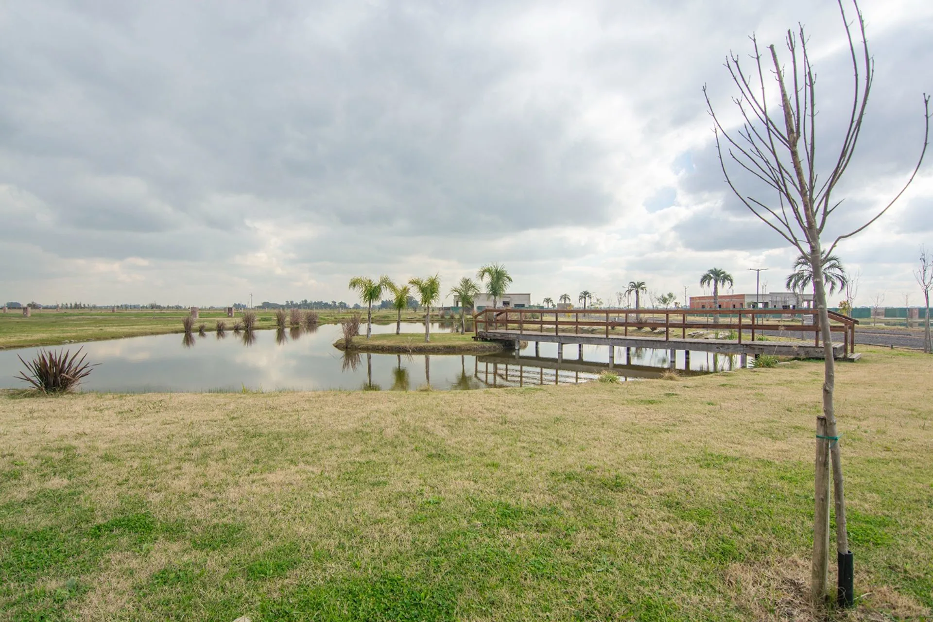 LOTE 700 M² EN HARAS ANDREA VIRGINIA – NATURALEZA foto 5