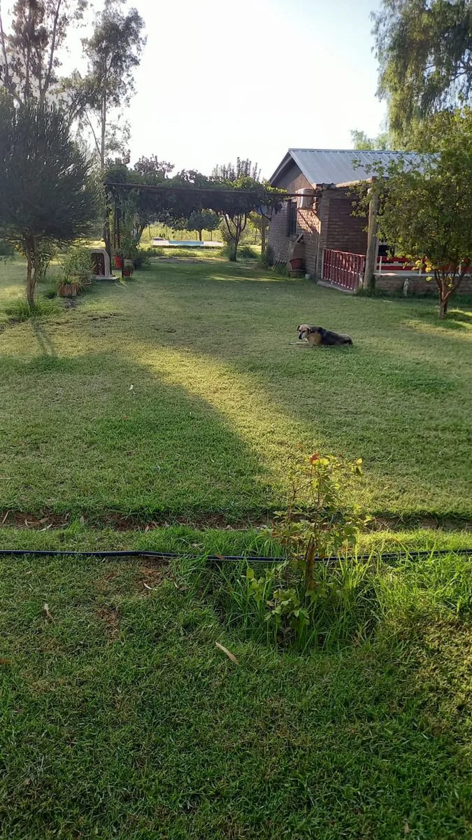VENTA 2 CASAS, PILETA, PARQUIZADO 1,3 ha LAS HERAS foto 4