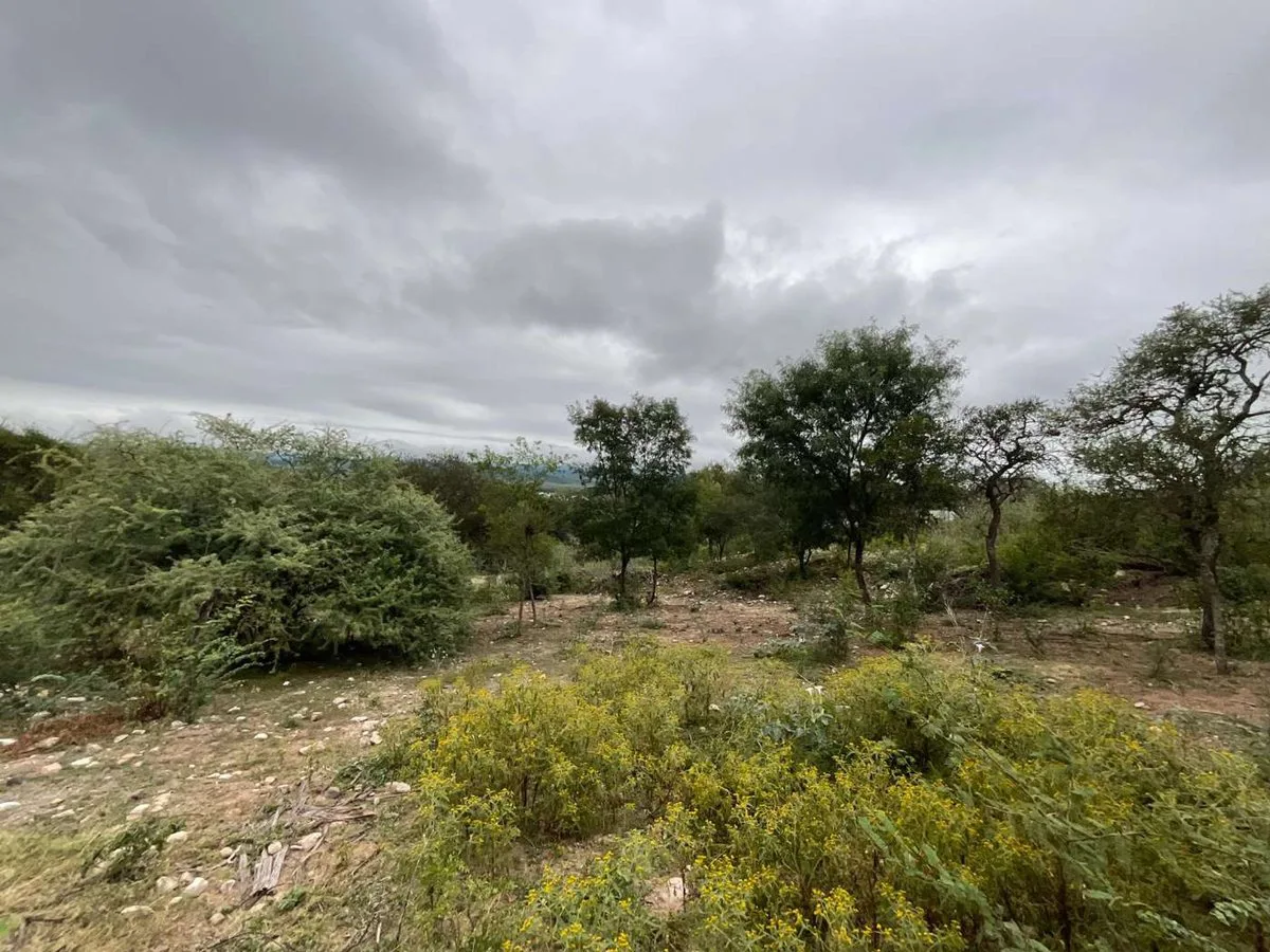 VENTA TERRENO DIQUE CABRA CORRAL 600M2 BAJADA PÚBL foto 5