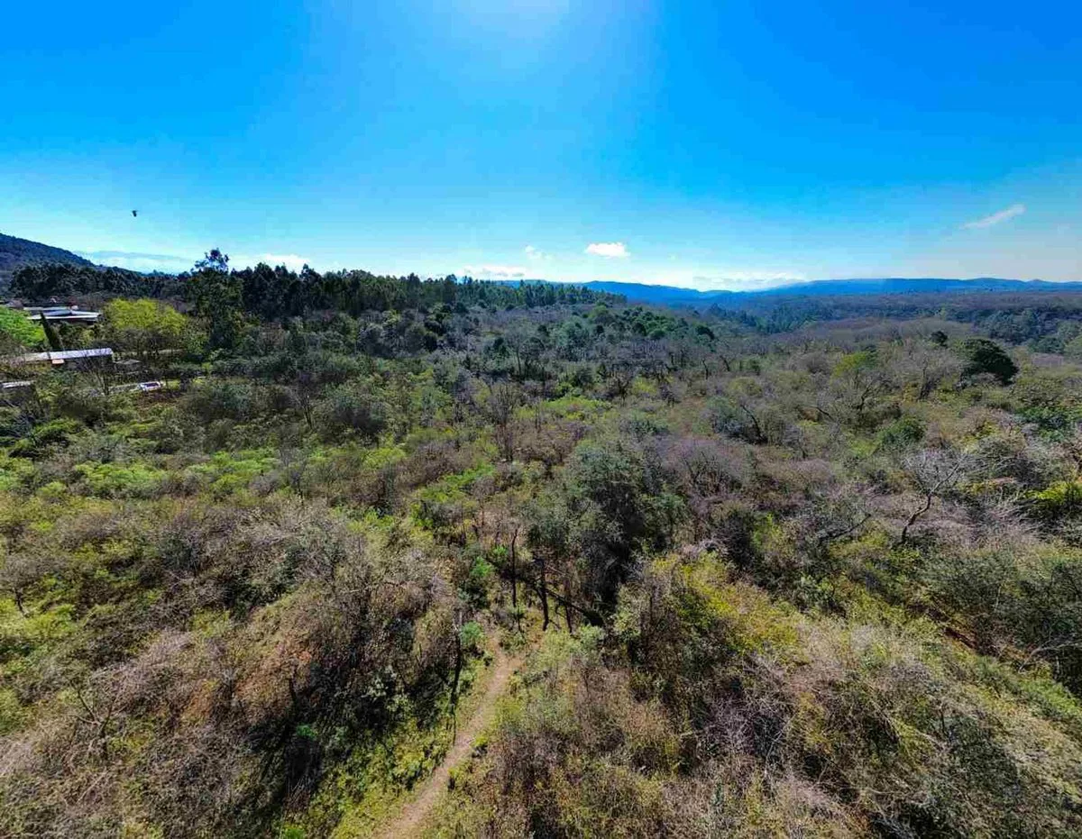 VENTA TERRENO LOS PAÑOS 1484M2 foto 2