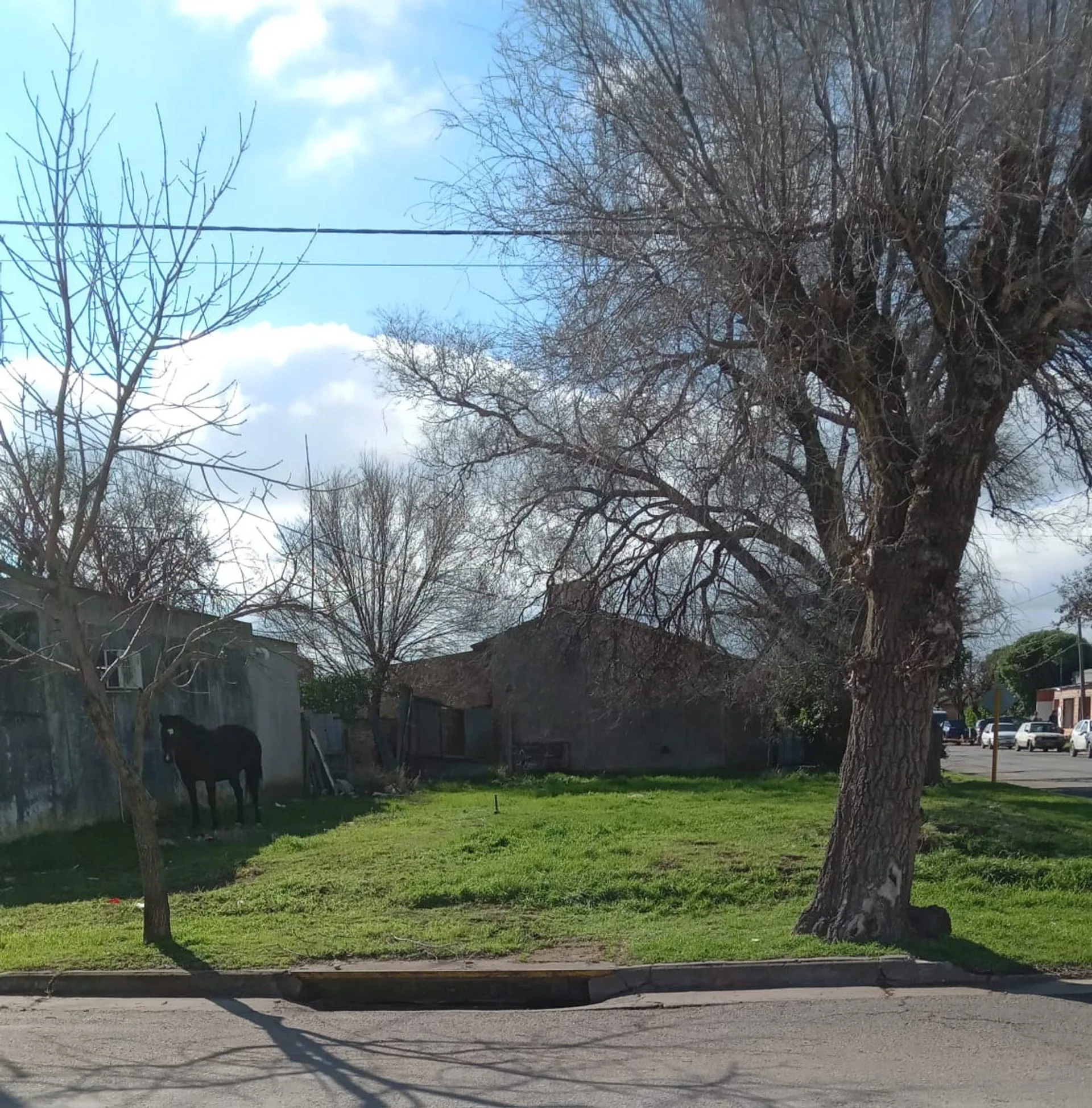 Terreno en Esquina en Coronel Dorrego foto 2