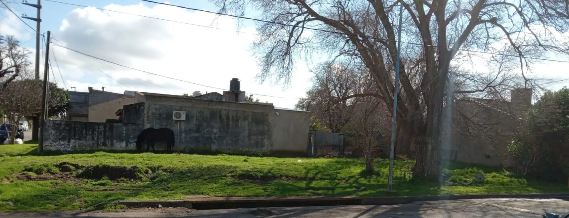 Terreno en Esquina en Coronel Dorrego foto 3
