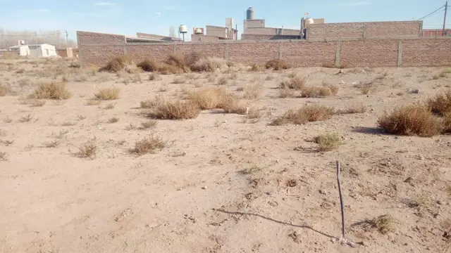 Lote 300 m2 todos los servicios Senillosa