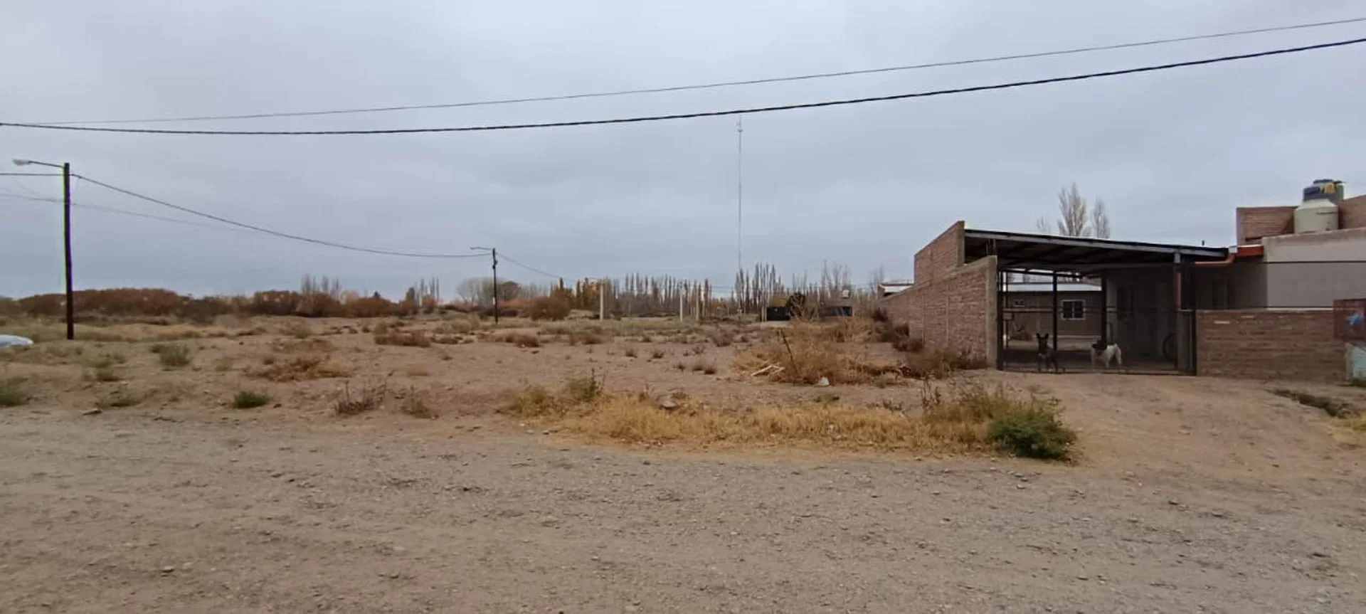 Lote 300 m2 todos los servicios Senillosa foto 5