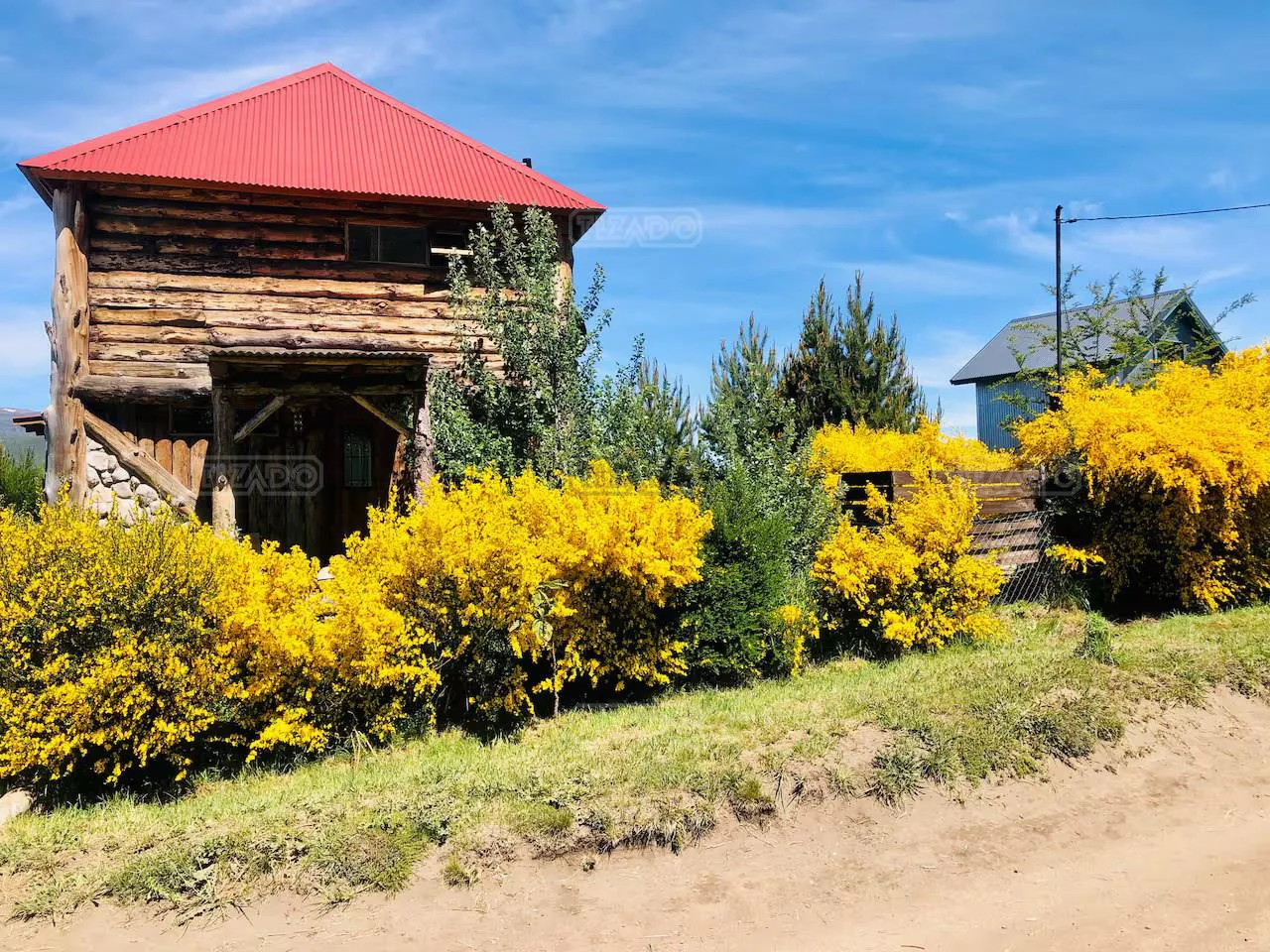 Acacias foto 2