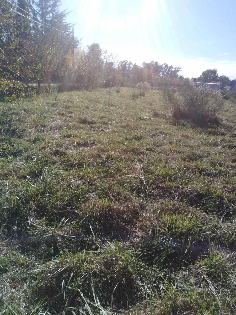 LOTE EN VENTA BRANDSEN IDEAL DESARROLLO foto 2