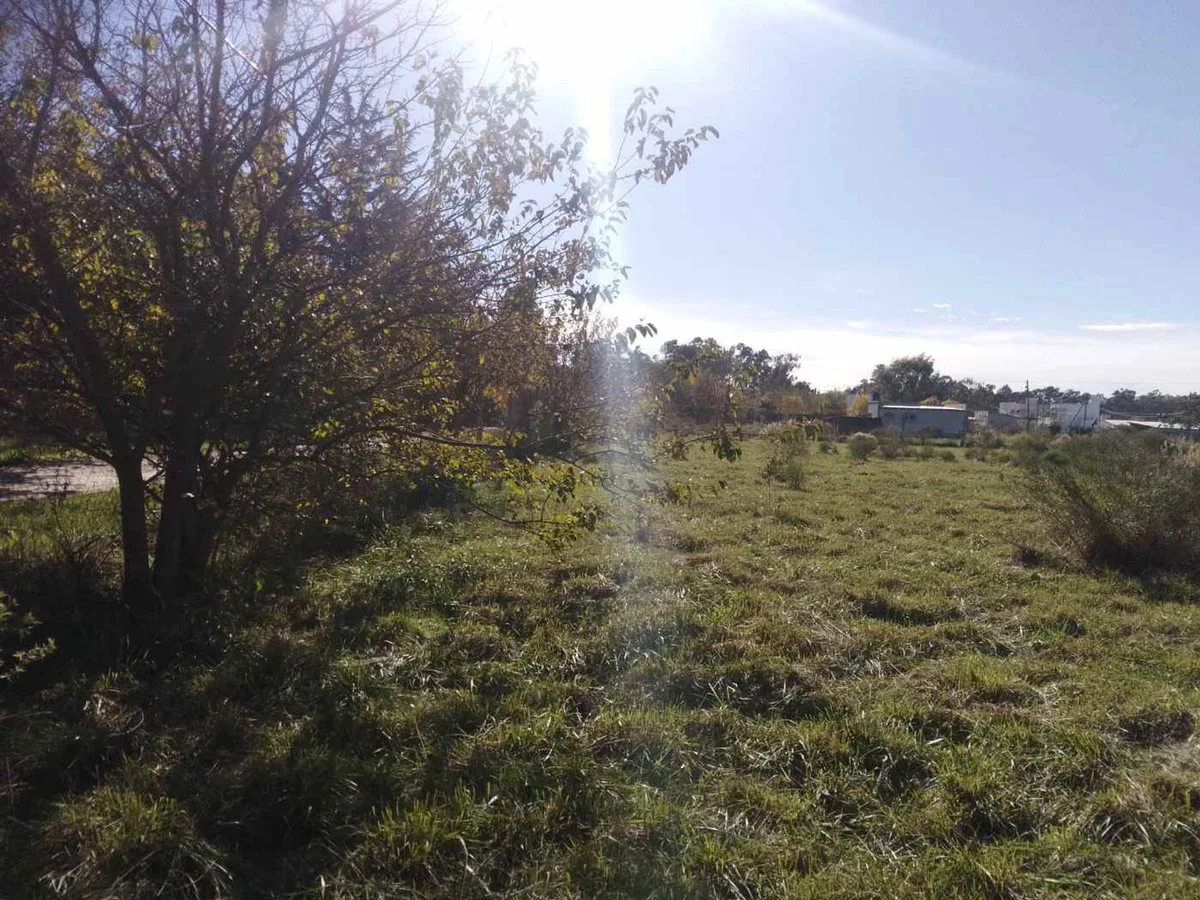 LOTE EN VENTA BRANDSEN IDEAL DESARROLLO foto 4
