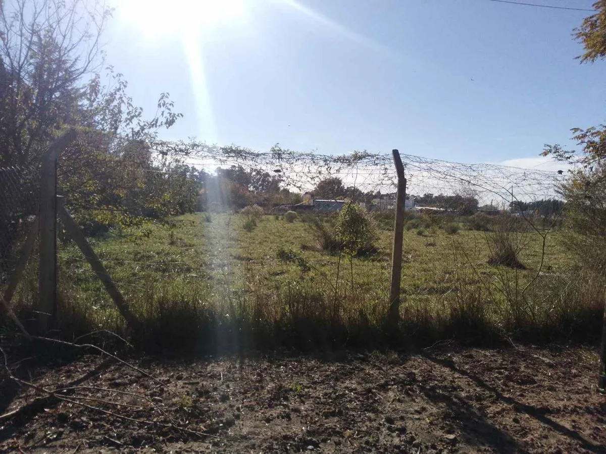 LOTE EN VENTA BRANDSEN IDEAL DESARROLLO foto 5