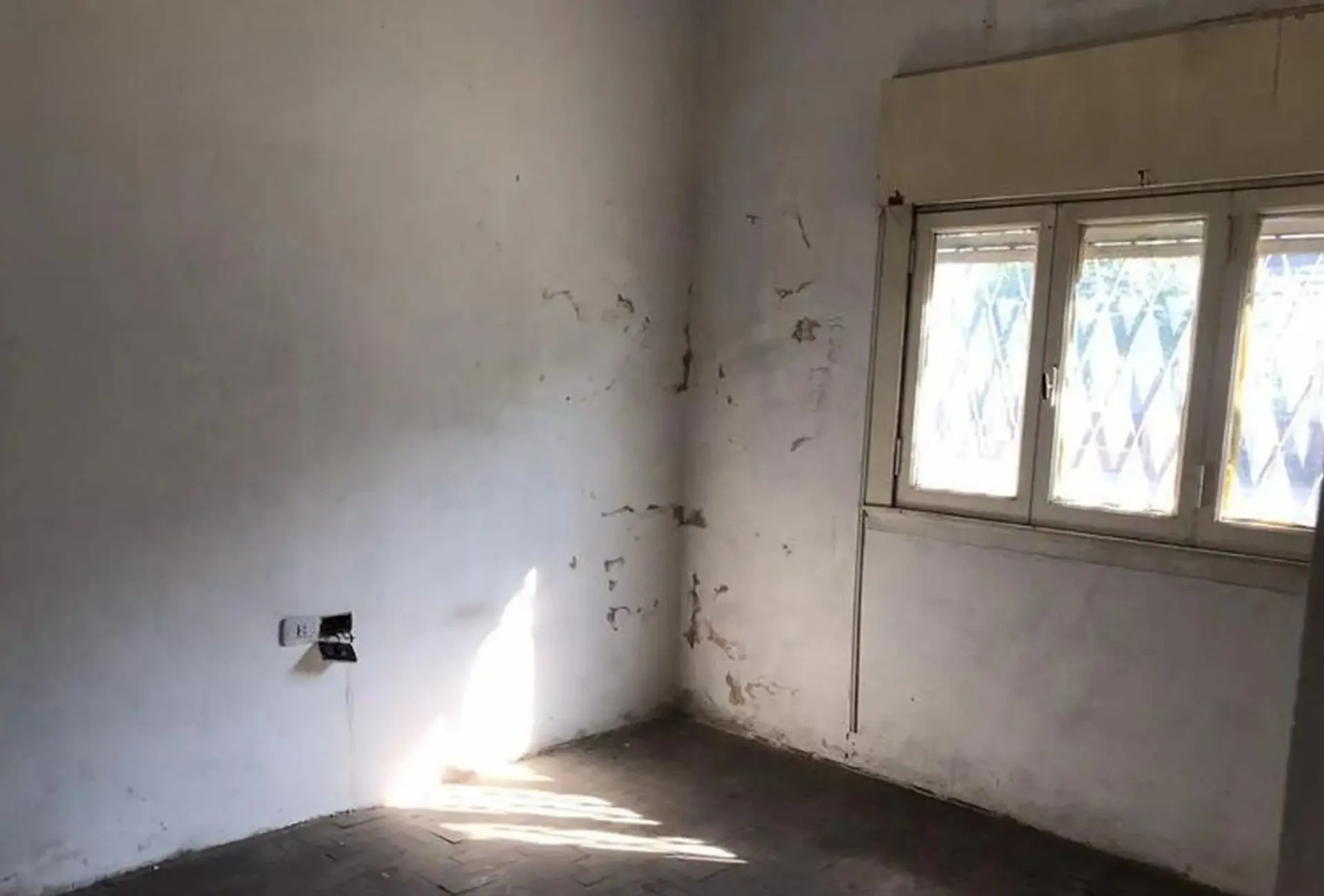 Casa 3 Amb + Depósito/Galpón a Refaccionar. foto 5