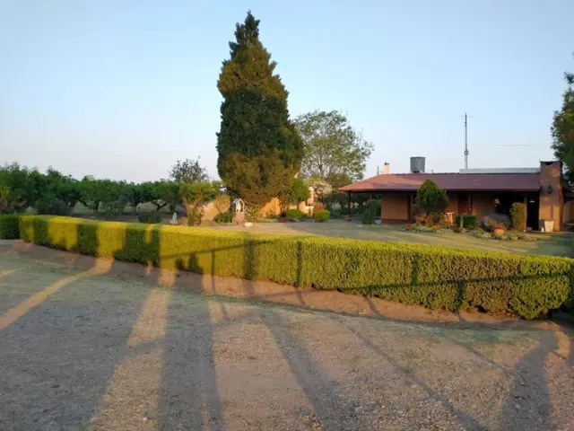 VENTA / 8 HECTÁREAS 3.333 m2, Colonia Caroya.