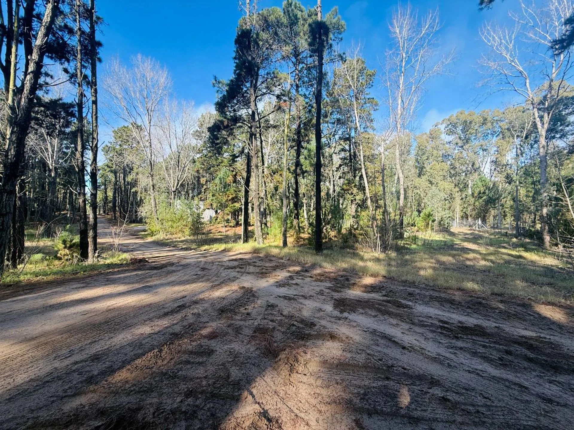 LOTE 426 VENTA EN VILLA ROBLE SERENA foto 3