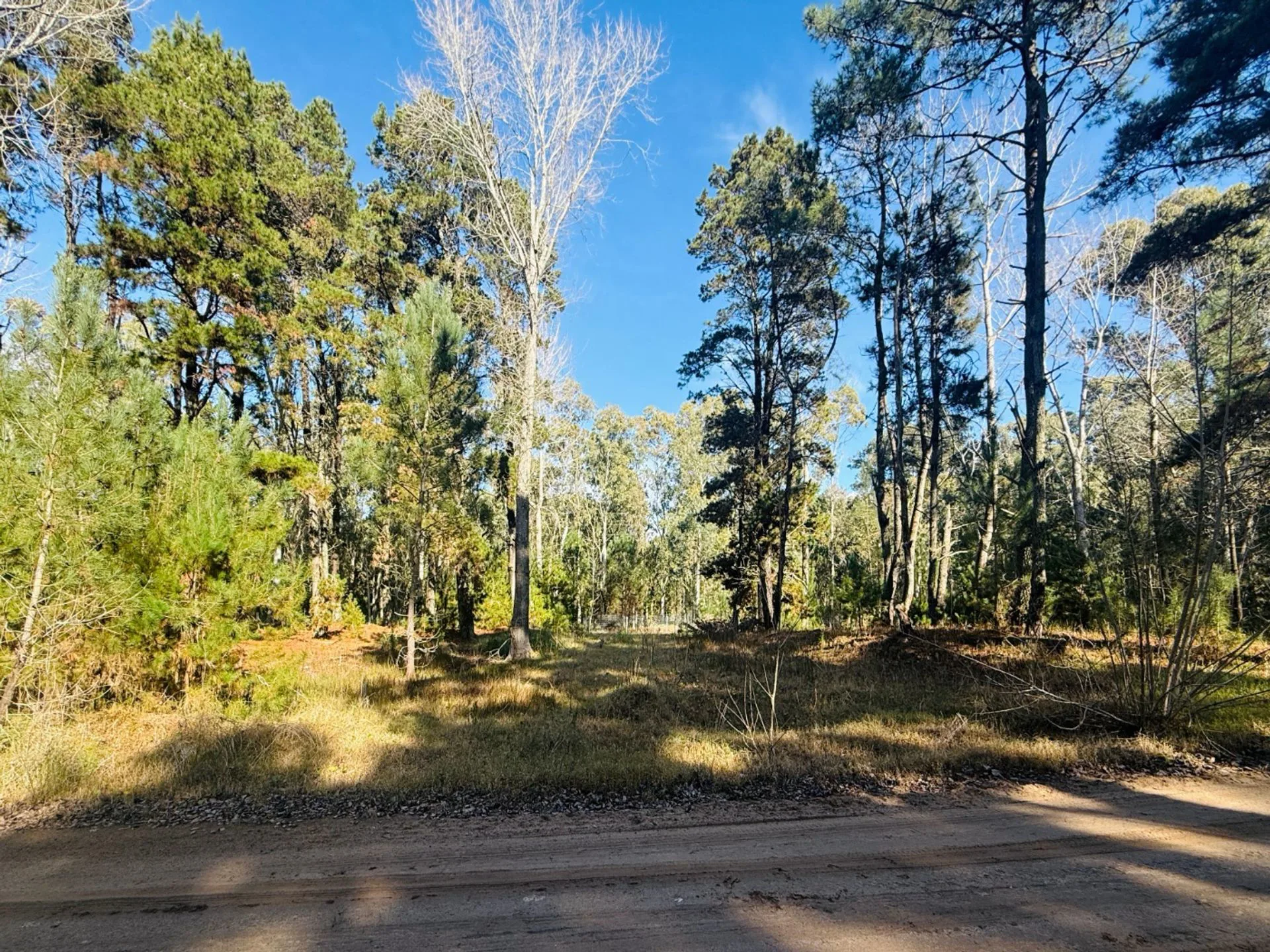 LOTE 426 VENTA EN VILLA ROBLE SERENA foto 4