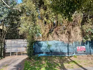 Importante propiedad con amplio terrenos - sobre Av. Benavidez.- foto 4