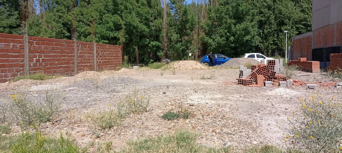 Lote 600 m2 con mejoras, Los Castaños, Plottier foto 4