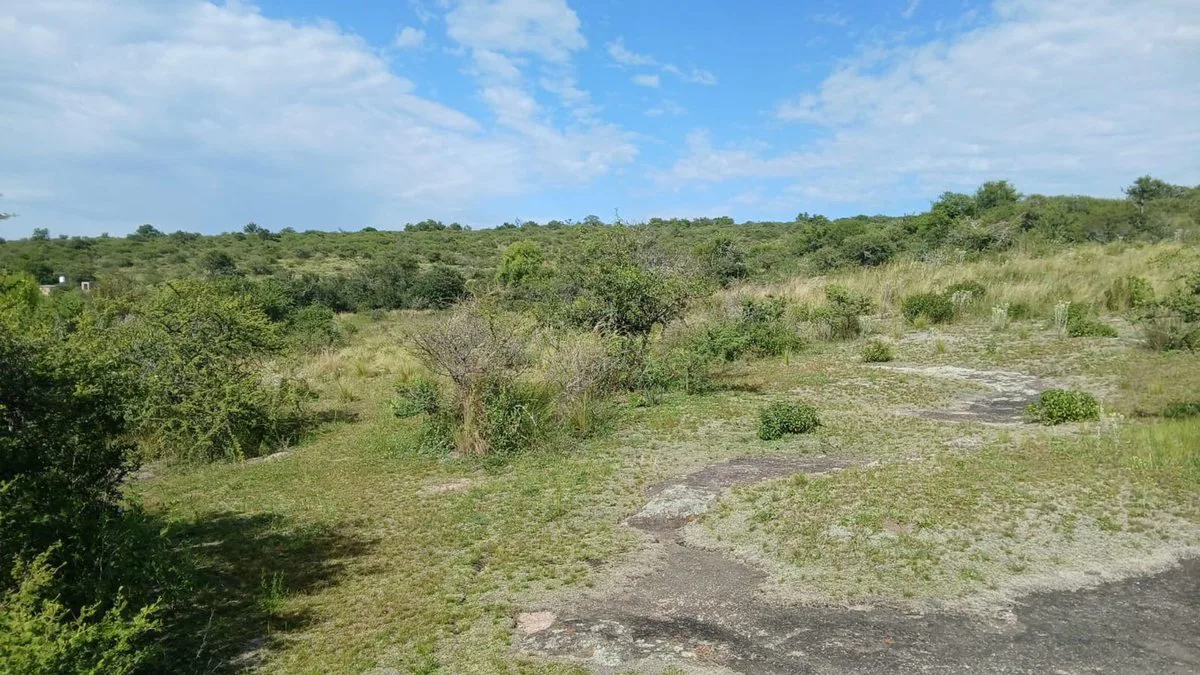 VENTA TERRENO TANTI 50.500m2 OPORTUNIDAD INVERSOR foto 2