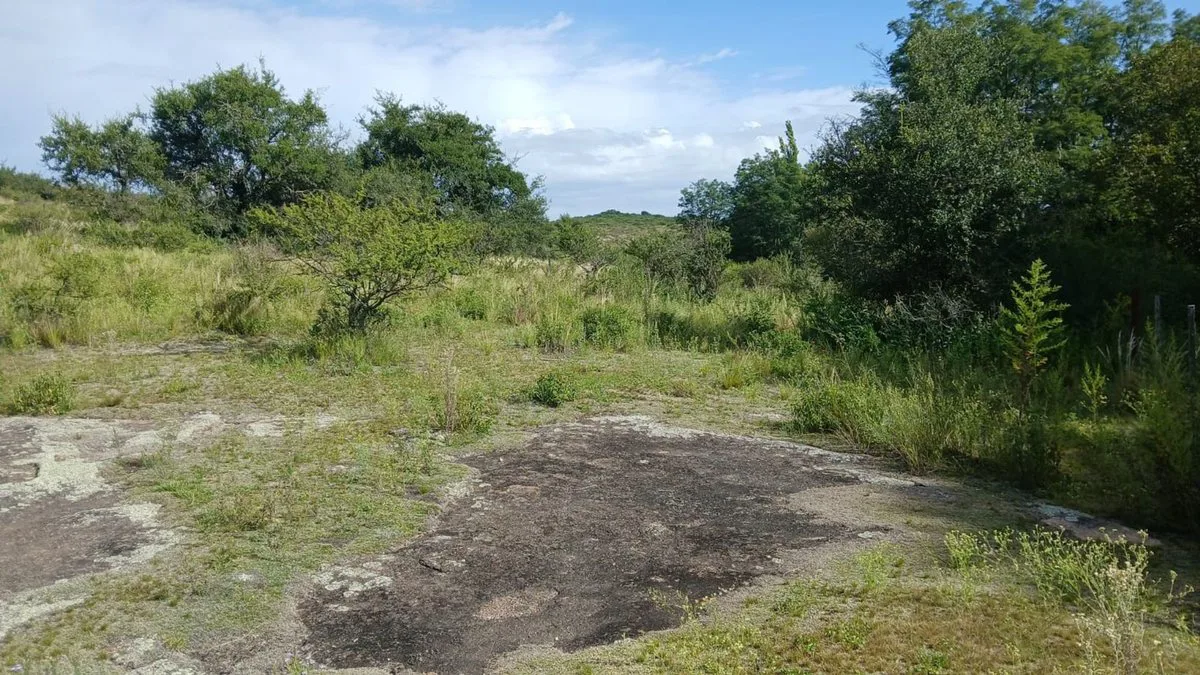 VENTA TERRENO TANTI 50.500m2 OPORTUNIDAD INVERSOR foto 3