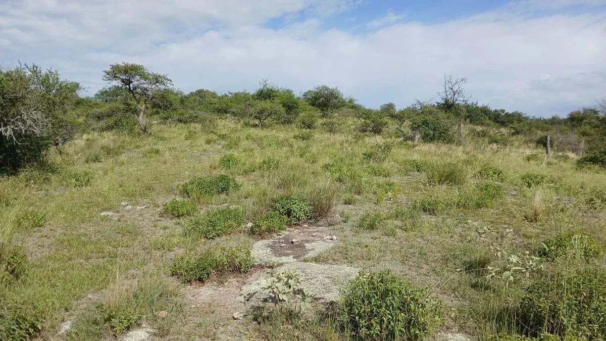 VENTA TERRENO TANTI 50.500m2 OPORTUNIDAD INVERSOR foto 4