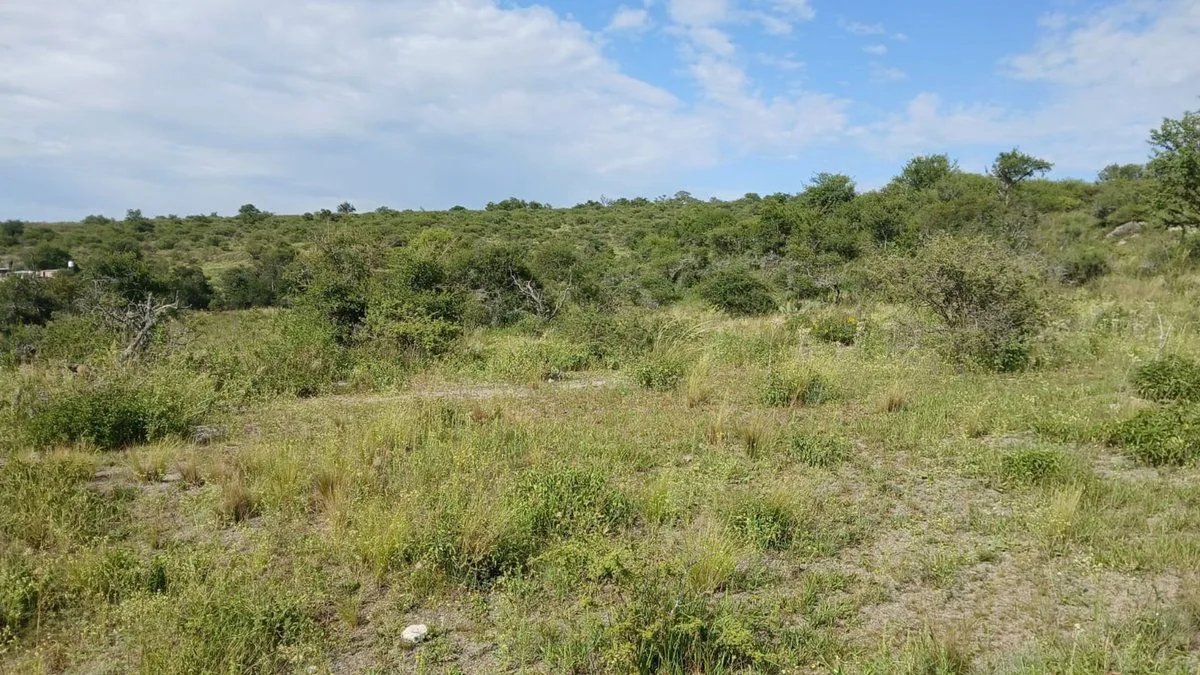 VENTA TERRENO TANTI 50.500m2 OPORTUNIDAD INVERSOR foto 5