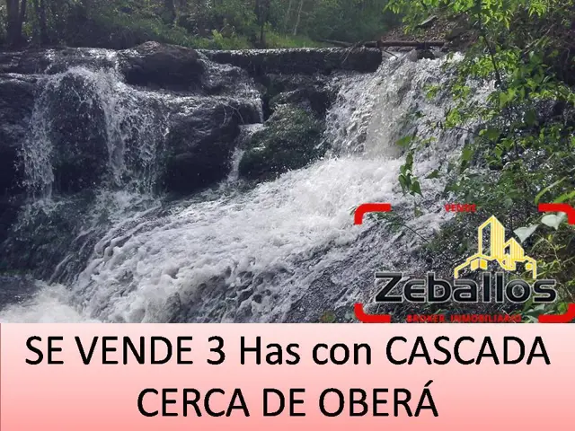 Vendo chacra de 3 has