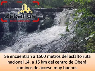 Vendo chacra de 3 has foto 3