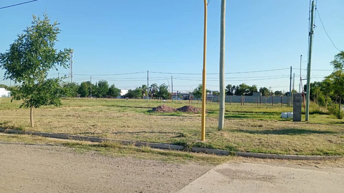 VENTA TERRENO NUEVA ITALIA foto 2