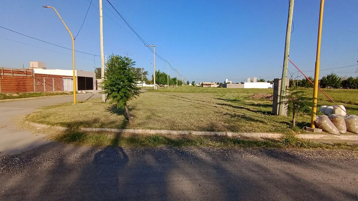 VENTA TERRENO NUEVA ITALIA foto 3