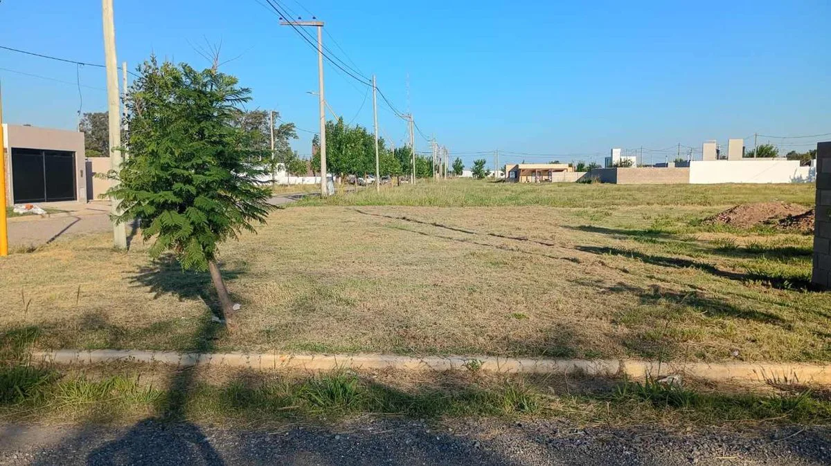 VENTA TERRENO NUEVA ITALIA foto 4