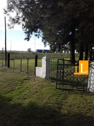 13 hectareas con mejoras en Loma Verde, sobre Ruta 215. foto 4