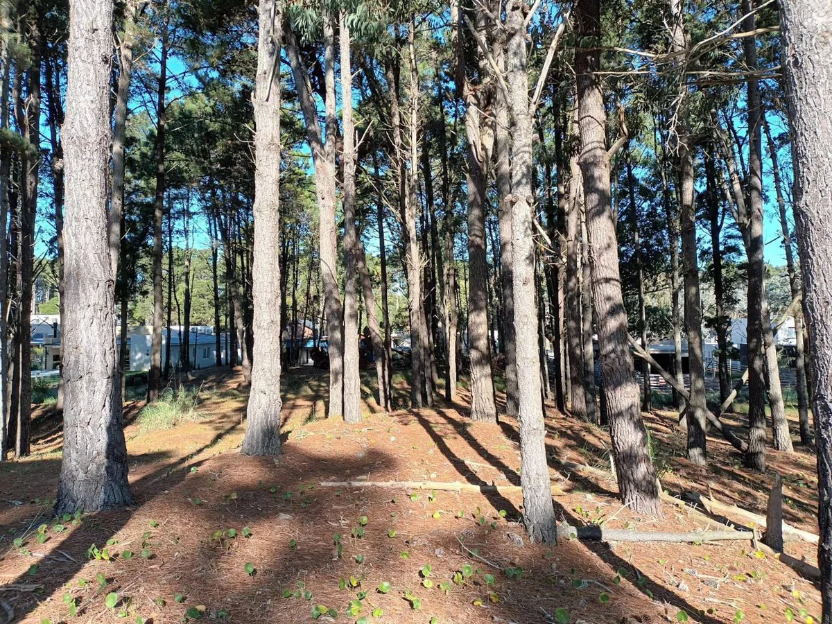 LOTE  EN VENTA COSTA ESMERALDA SECTOR DEPORTIVO foto 2