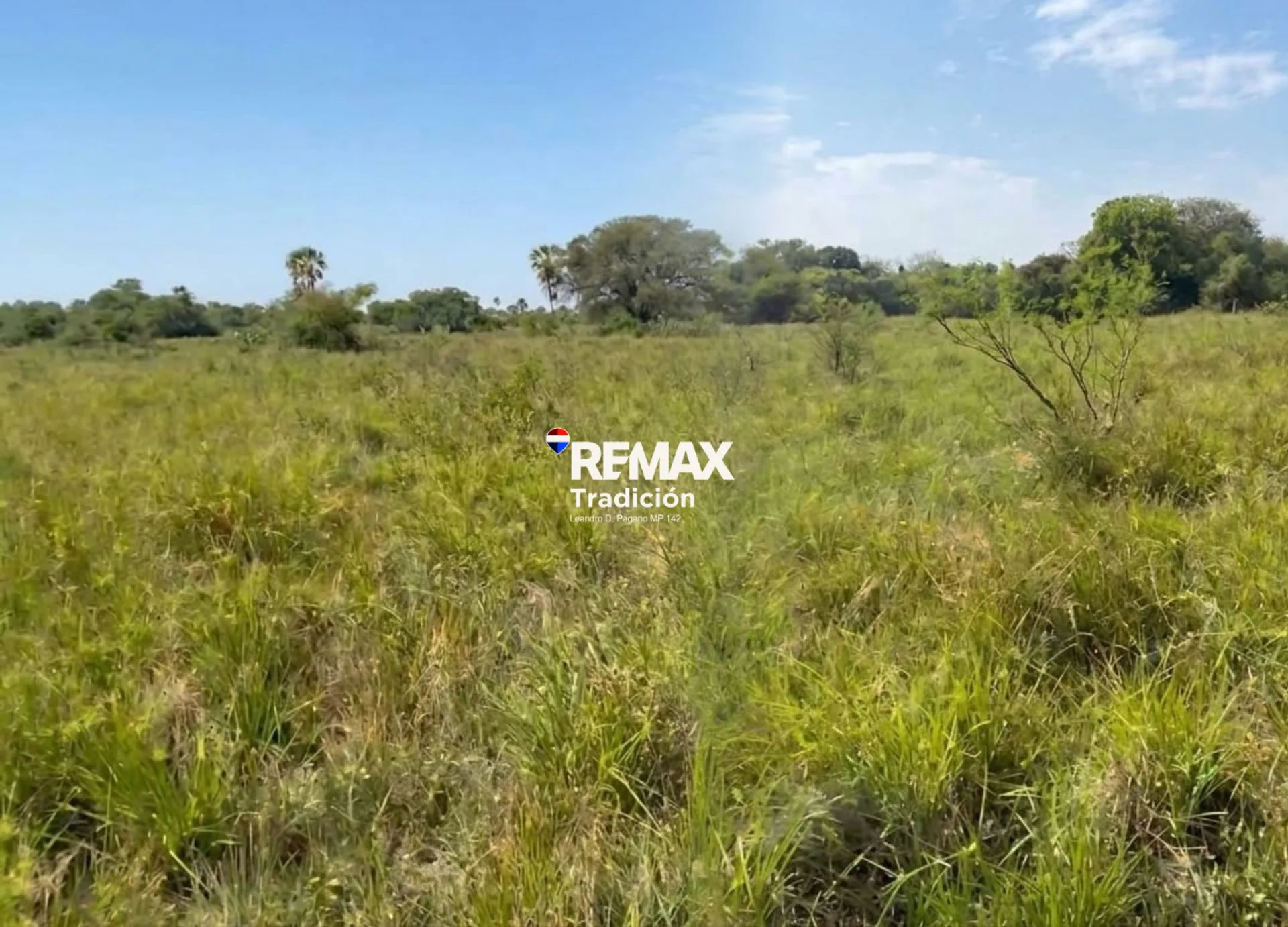 VENTA CAMPO GANADERO 589 HAS PROVINCIA DEL CHACO foto 4