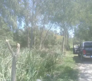 Venta de cuatro lotes en Benavidez foto 4