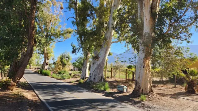 VENTA DE TERRENO POCITO