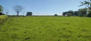 VENTA HERMOSA FRACCION DE 1.14 HAS foto 4