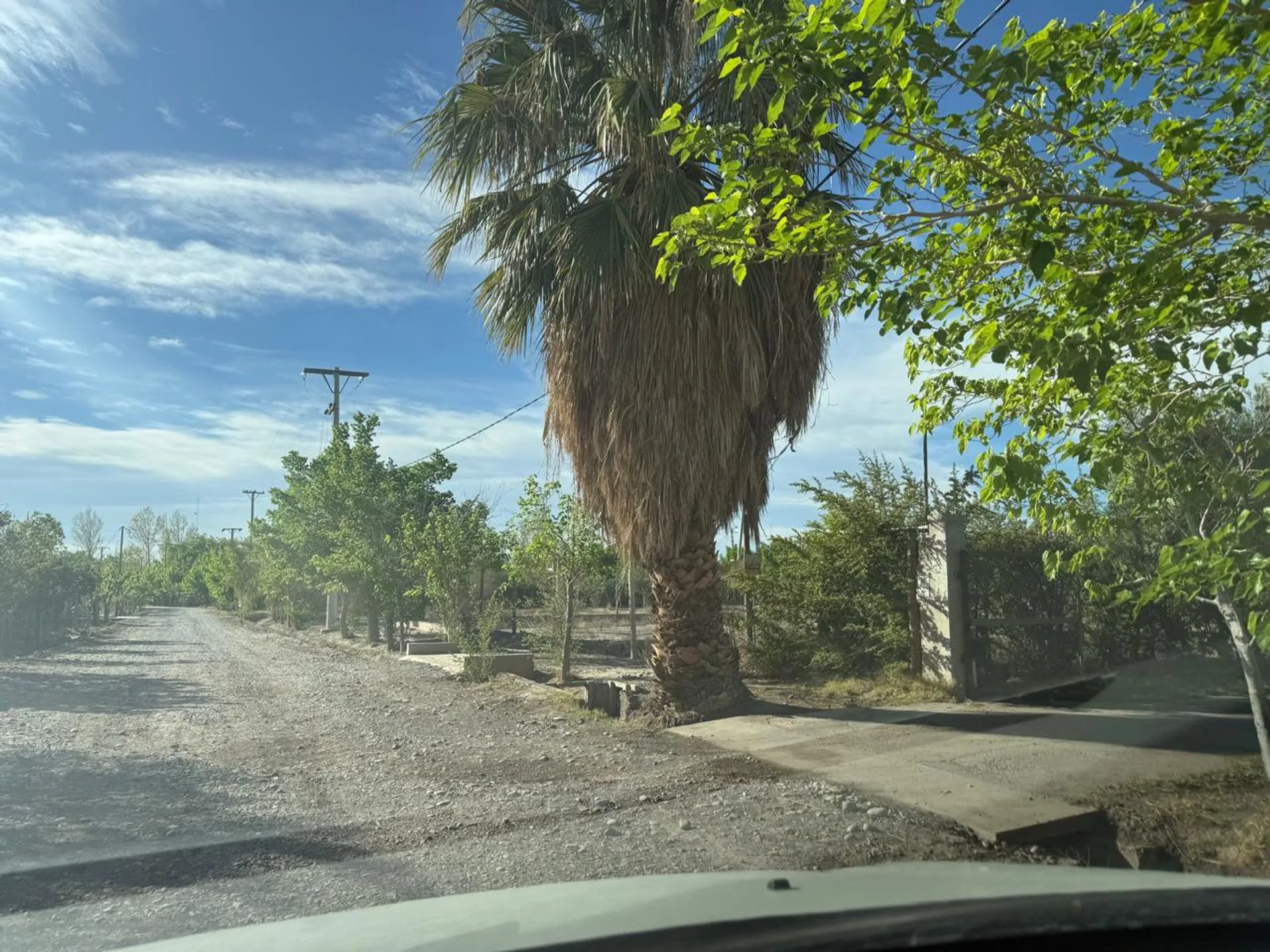 TERRENO DE 1794 M2, BARRIO LOS ALMENDROS, POCITO foto 2