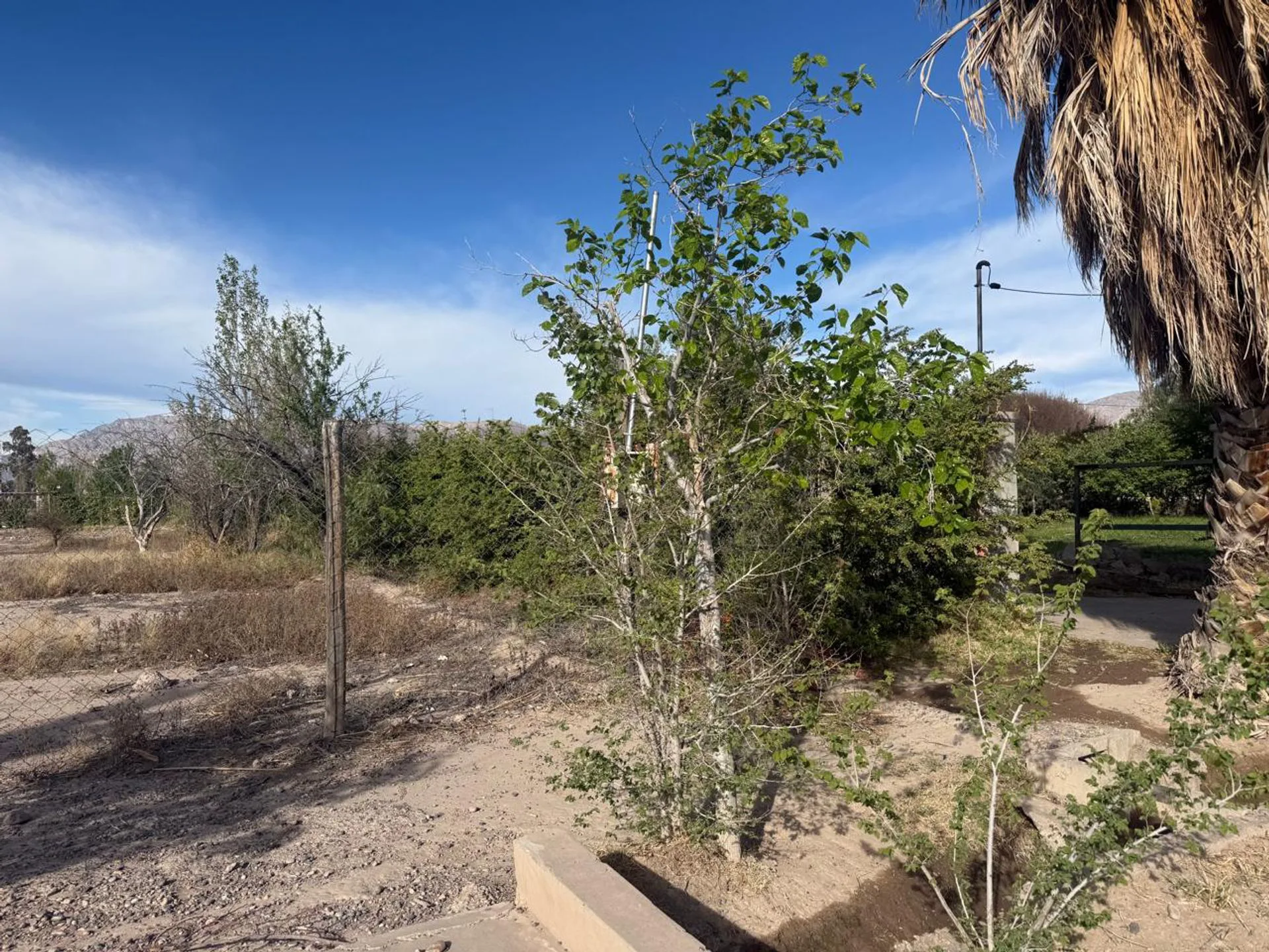 TERRENO DE 1794 M2, BARRIO LOS ALMENDROS, POCITO foto 5