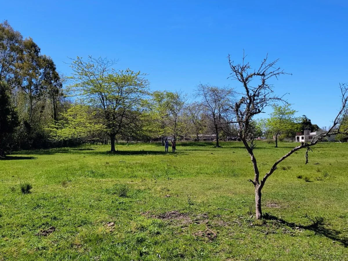 Lote en venta en Magdalena barrio Las Maytas foto 2