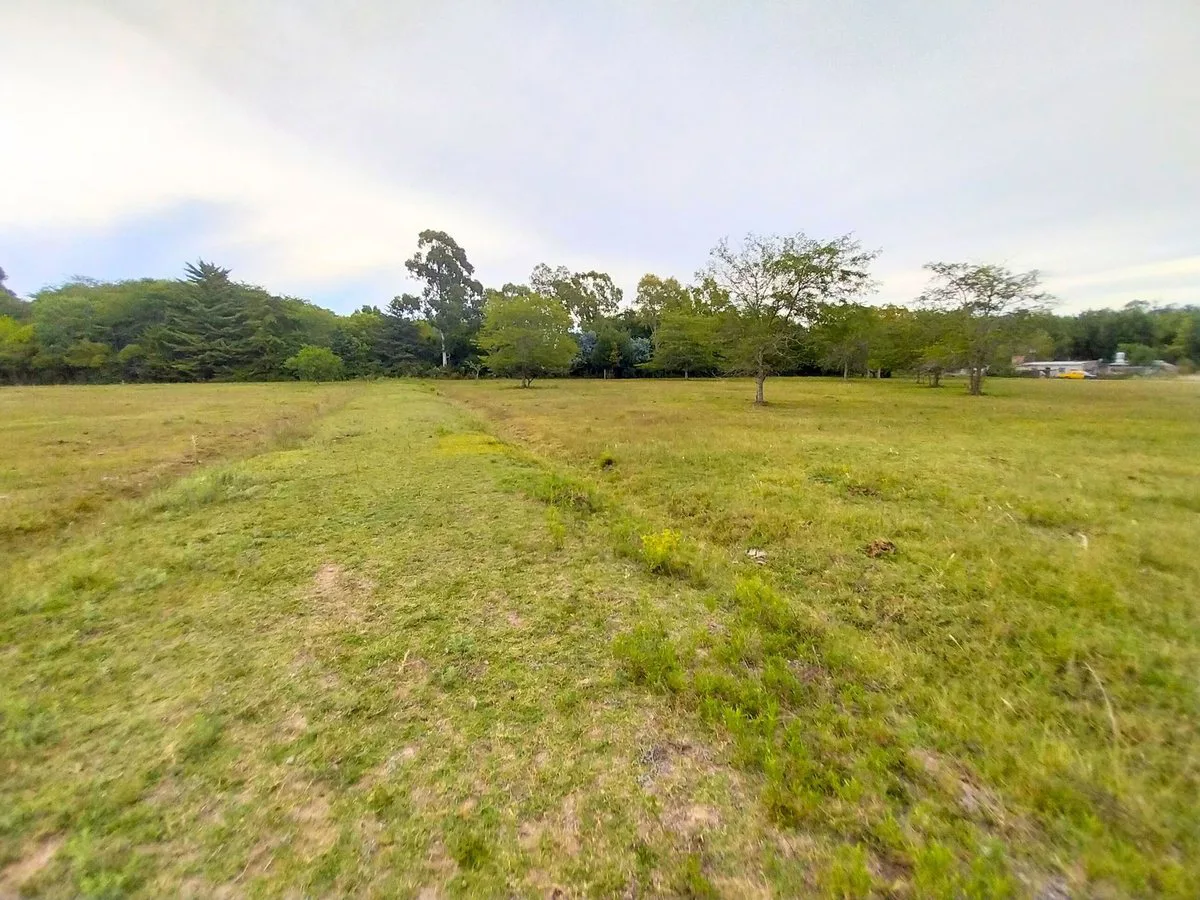 Lote en venta en Magdalena barrio Las Maytas foto 4