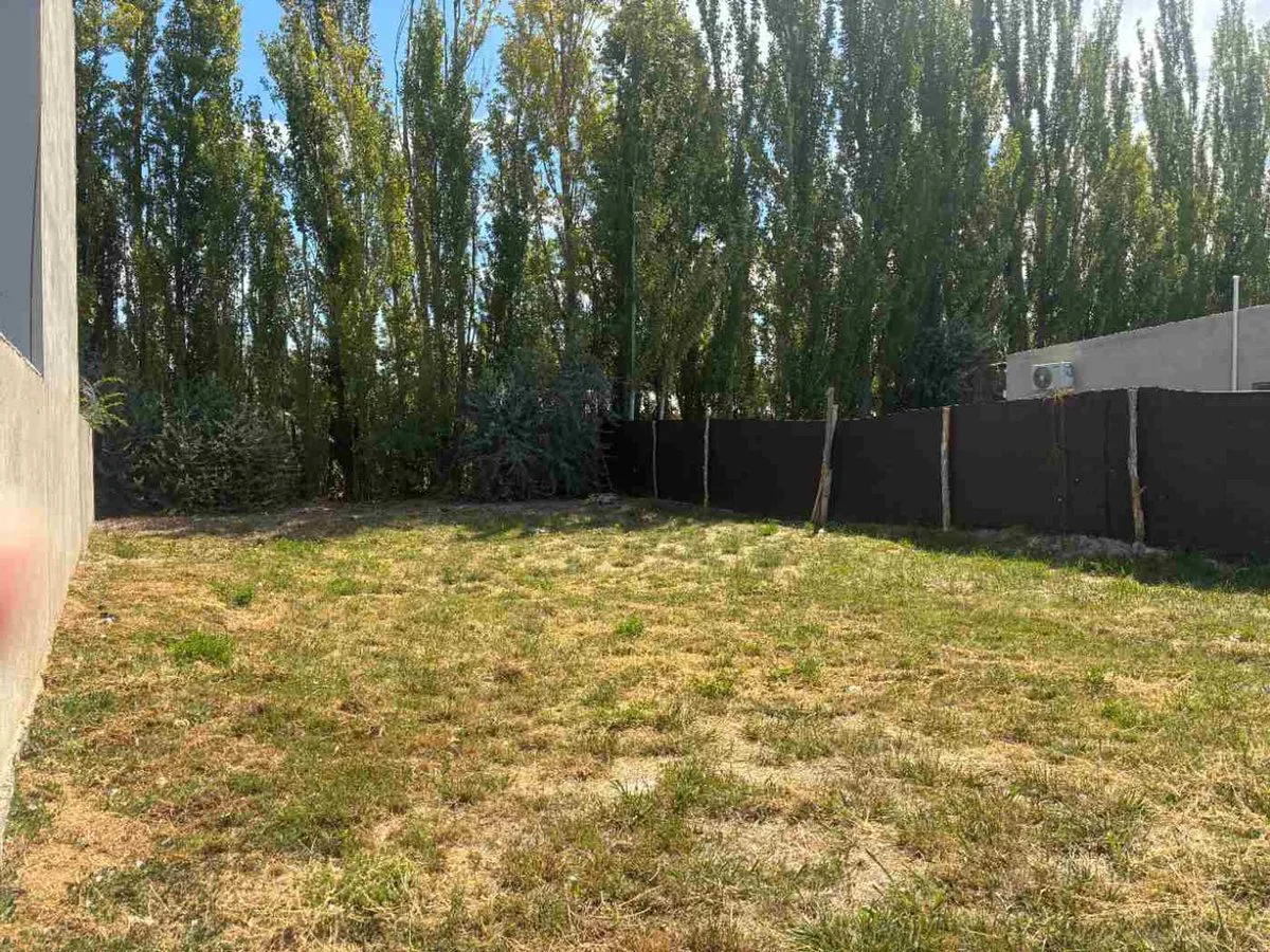 TERRENO EN VENTA EN LA MARTINA I GENERAL ROCA foto 2