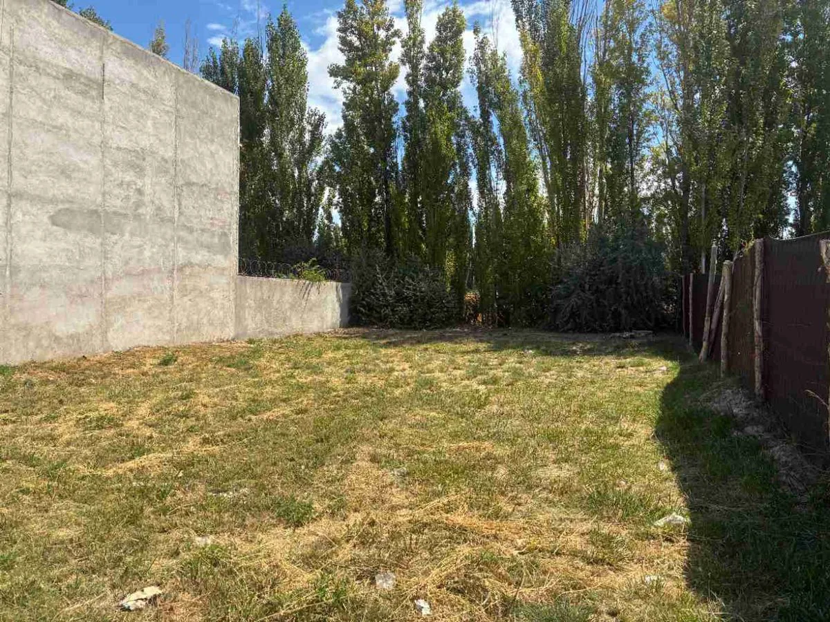 TERRENO EN VENTA EN LA MARTINA I GENERAL ROCA foto 3