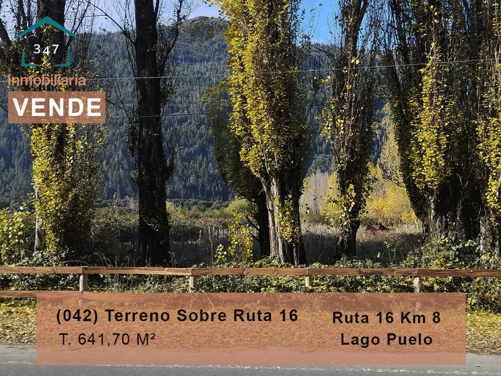 LAGO PUELO Terreno en condominio (Maderera, sobre frente a la Ruta 16)Terreno 640 mtrs2