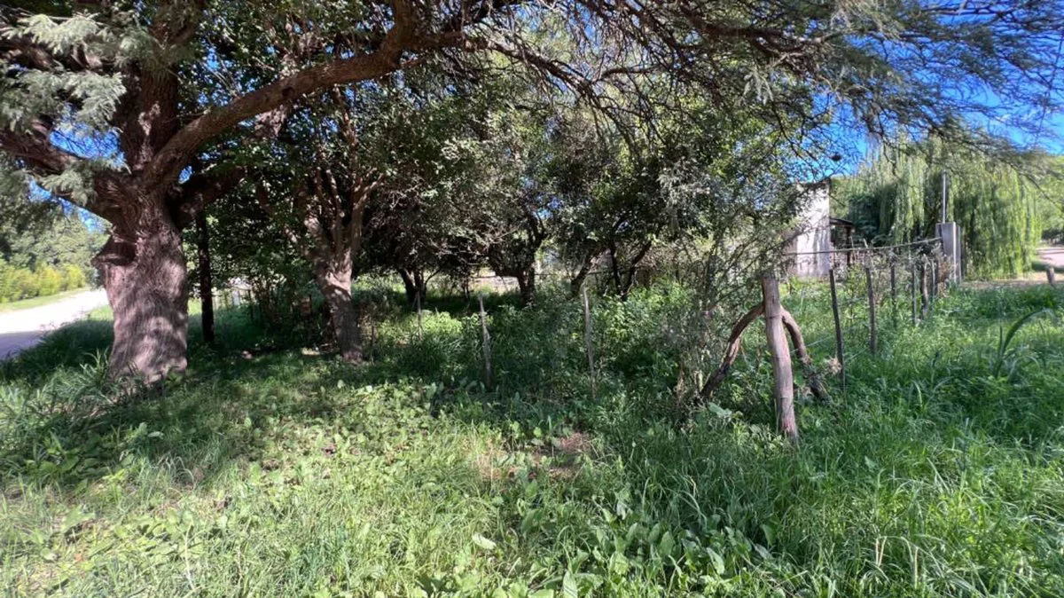 VENTA LOTE VILLA DEL TOTORAL foto 2